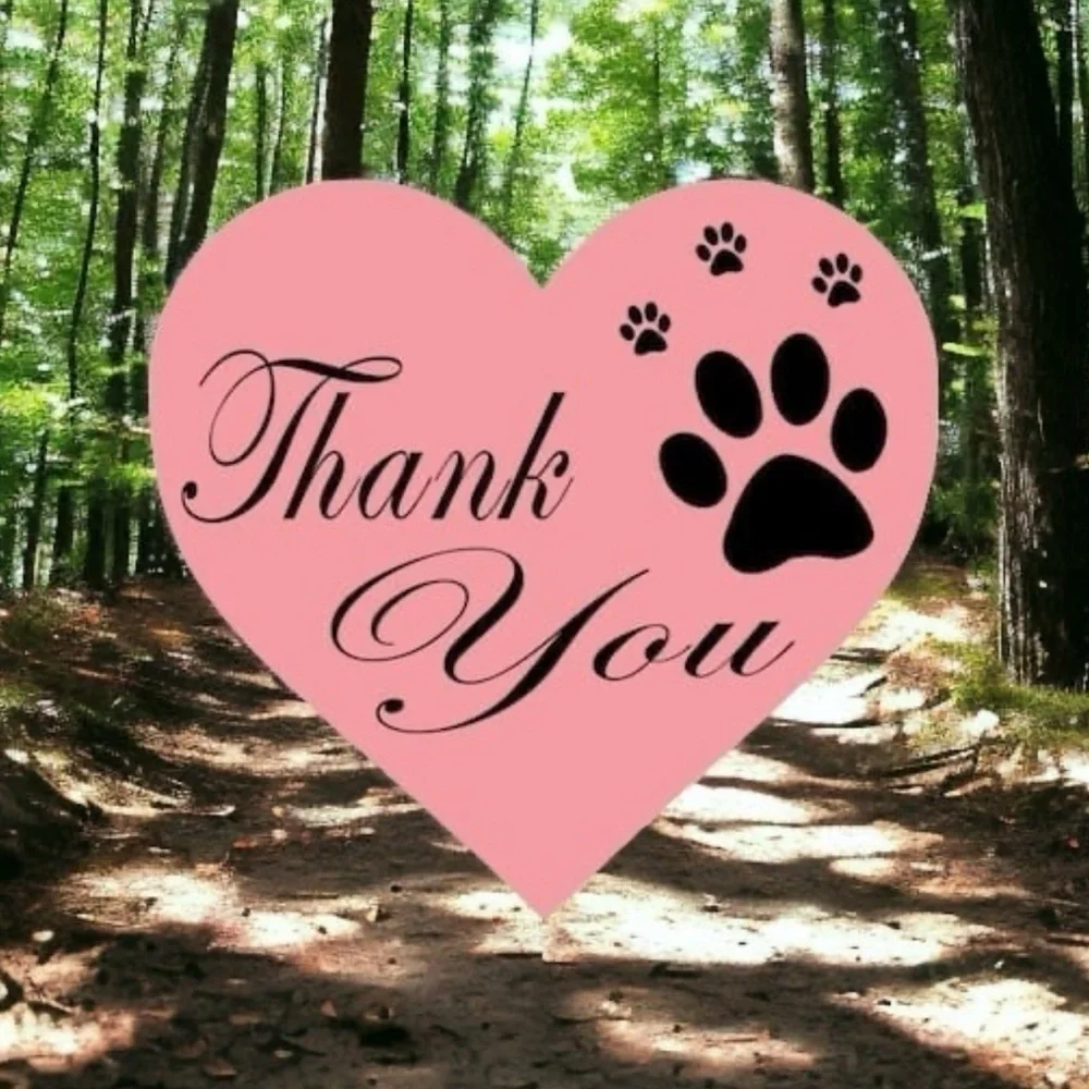 40 Thank You Stickers!